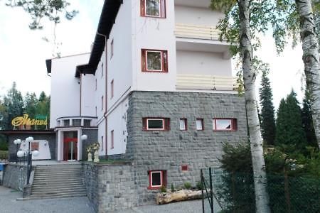 Hotel Manes Svratka エクステリア 写真