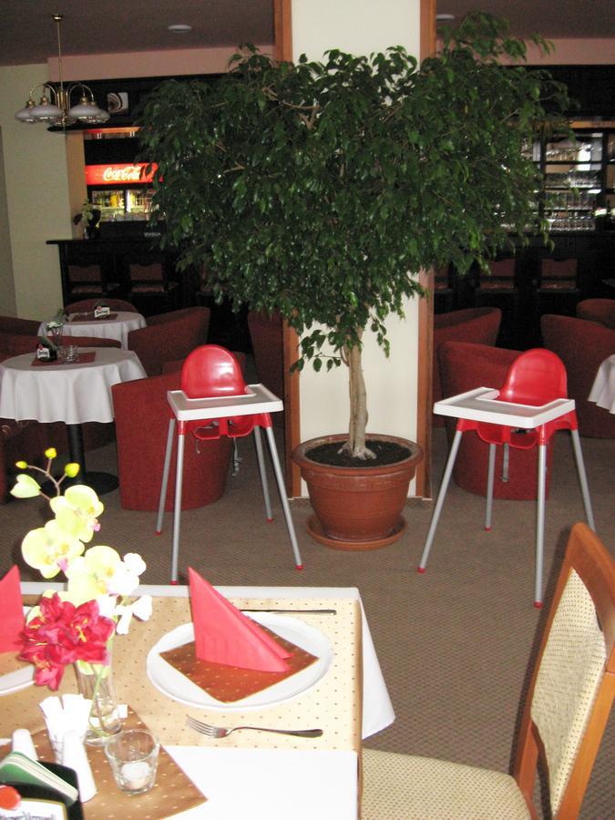 Hotel Manes Svratka エクステリア 写真