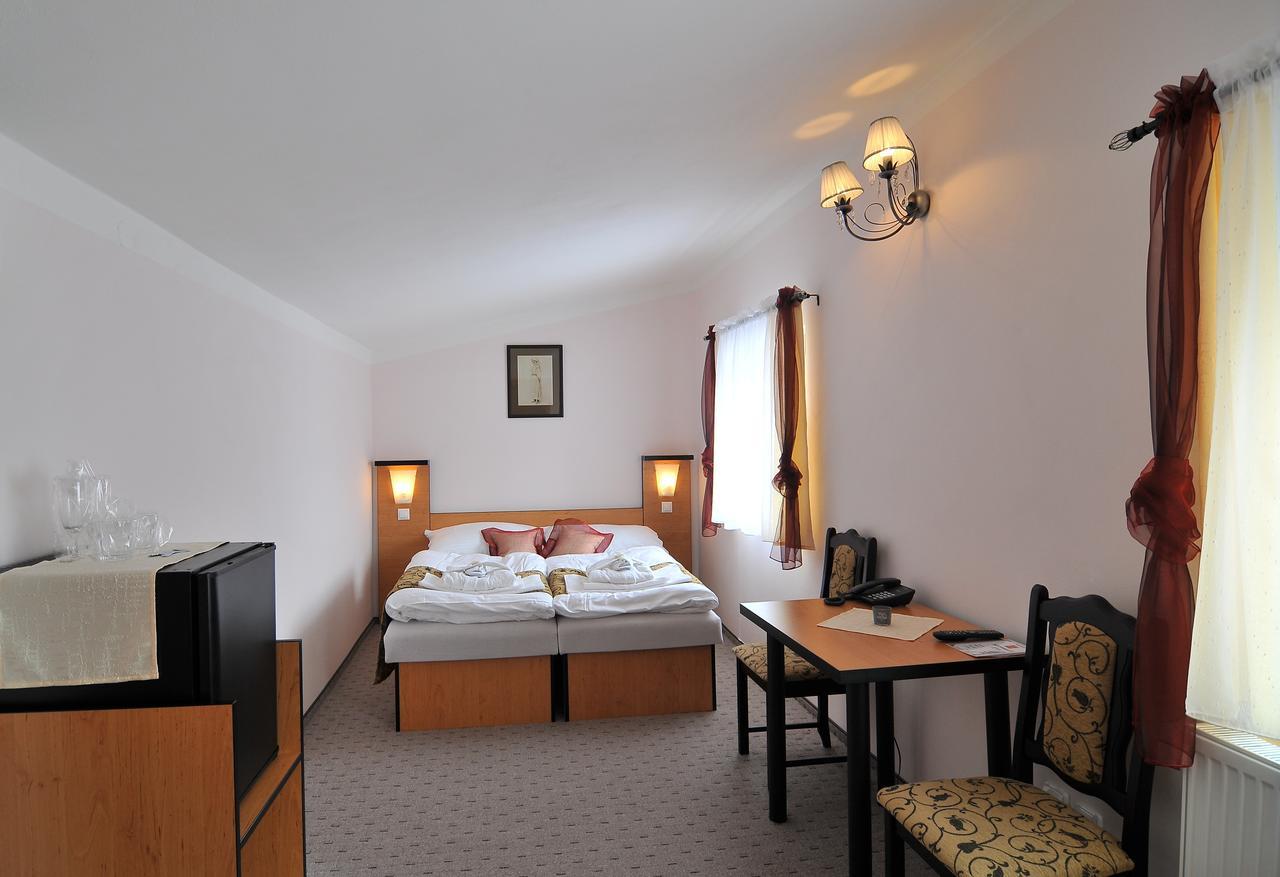 Hotel Manes Svratka エクステリア 写真