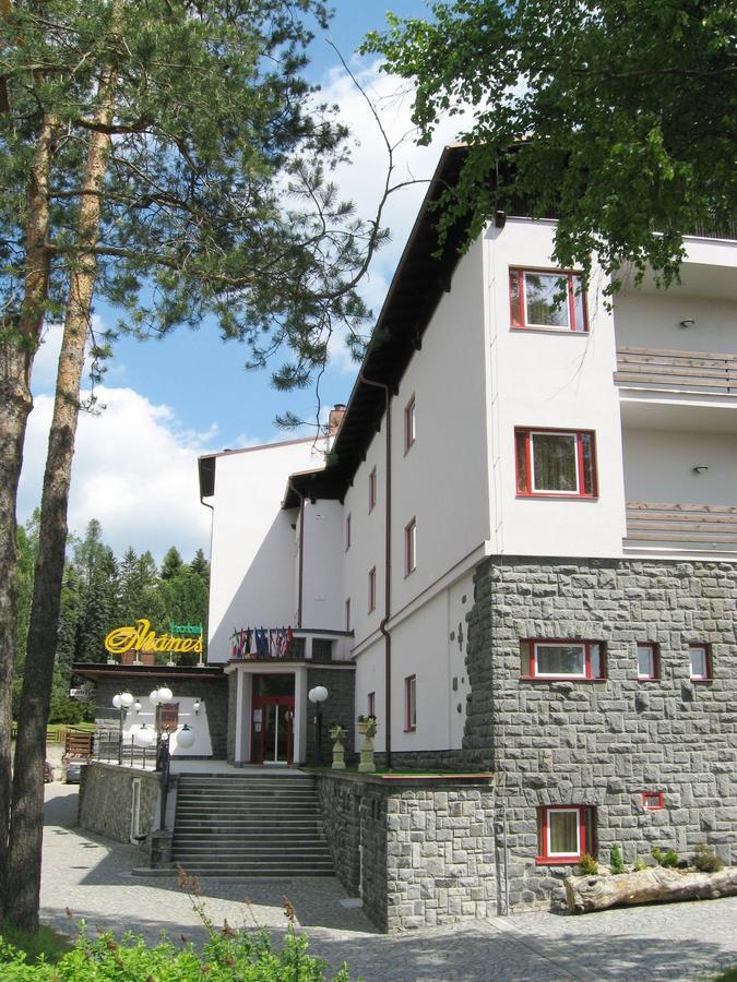 Hotel Manes Svratka エクステリア 写真