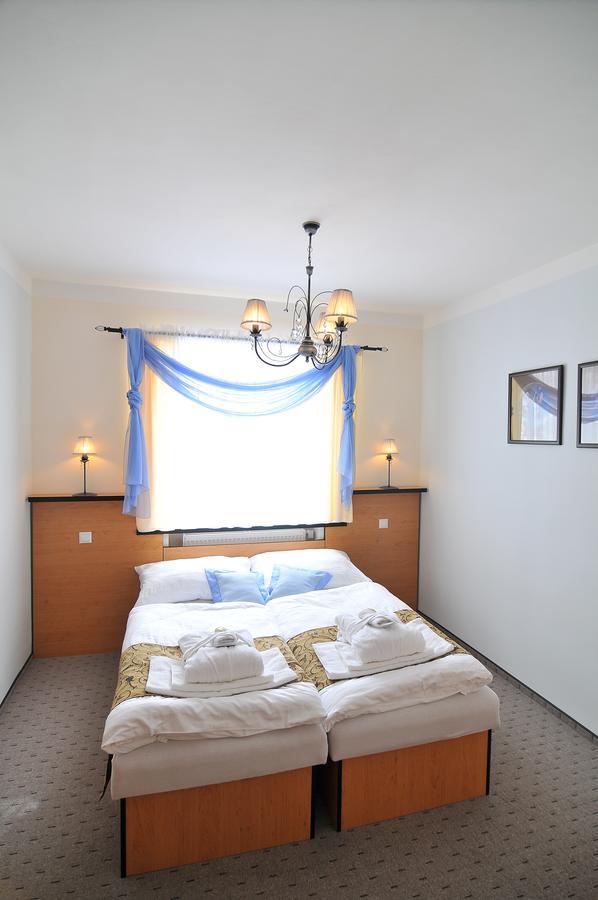 Hotel Manes Svratka エクステリア 写真