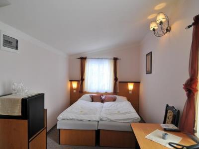 Hotel Manes Svratka エクステリア 写真