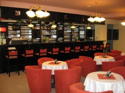 Hotel Manes Svratka エクステリア 写真